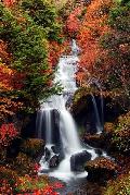 日本的 “龍頭瀑布” 。這個名字來自瀑布的形狀，類似龍的頭。瀑布位於湯川河，是欣賞日本秋天顏色的第一景點。通常10月初是最美的季節。
