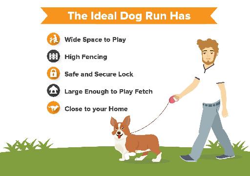 Why do you need a dog run?