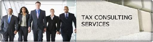 Tax consulting and payroll administration services