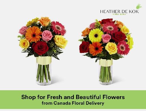 Shop for Fresh and Beautiful Flowers from Canada Floral Delivery