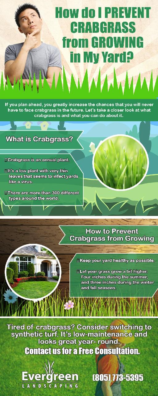 How do I Prevent Crabgrass from Growing in My Yard?